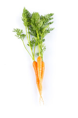 fresh carrots isolated on white background