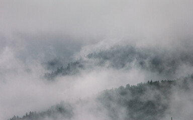 Amazing panoramic landscape mountain forests covering with a lot of fog after rain.