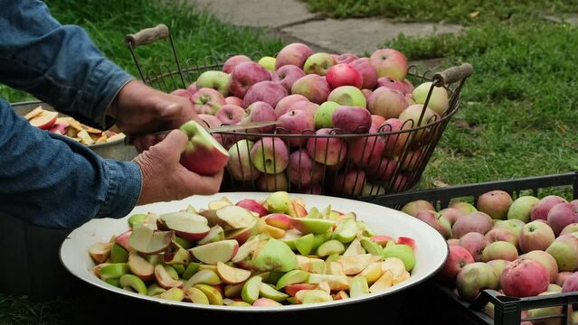 Male hands cutting a lot of apples into pieces in the garden. Fresh red apple harvest. Cutting and preparing a fresh apple for eating. Cut fruits for jam cider or juice outdoors slow motion