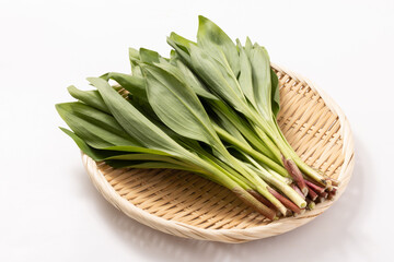 〈岩手県産〉行者にんにく