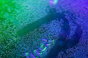 Circles on the water. Oil stains. Spilled fuel. Oil in water. Gasoline in water. Liquid like oil. Bubbles in the water of different colors and sizes. Red, blue, purple and green.