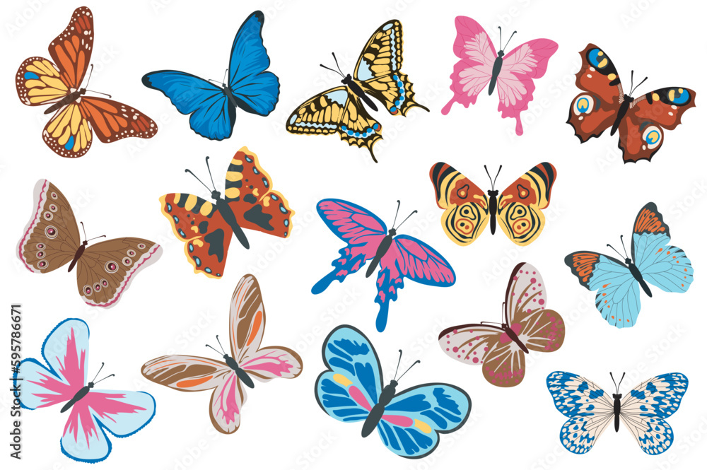 Wall mural butterflies mega set elements in flat design. bundle of different types and colors tropical flying b