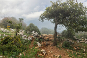 Fototapeta na wymiar Beautiful landscape with fog and a road receding into the distance on Mount Meron