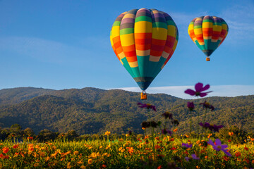 Hot air balloon above flowers field and mountasin view