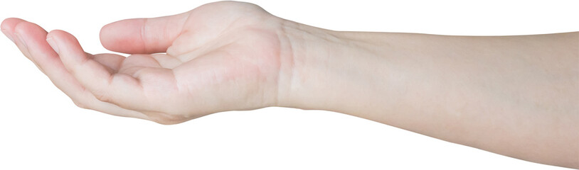 Woman hand gesture holding something isolated on white background