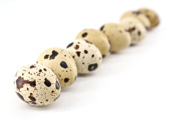 Obraz premium Raw quail eggs in a row on white background.