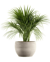 Plant in a pot, houseplant, decorative, generative ai