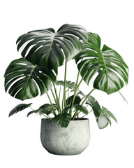 Plant in a pot, houseplant, decorative, generative ai