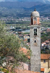 Fototapeten Arcola, La Spezia, Liguria, Italy: Church of San Stefano e Magherita between olive trees © Mathias Pabst