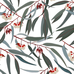 Eucalyptus branches in bloom, white background. Seamless floral pattern-244.