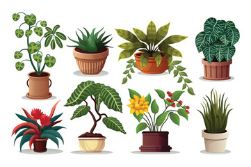 Fototapeta premium Concept House plants. This flat cartoon design features a set of various houseplants, such as succulents, ferns, and cacti, on a plain white background. Vector illustration.