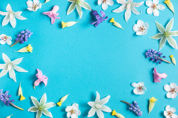 Flat lay frame from spring flowers on a blue background. View from above, copy space. Beautiful floral frame. Springtime