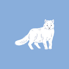 Arctic or polar white fox flat vector illustration isolated on blue background.