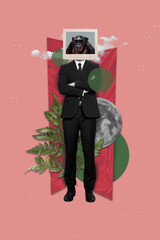 Vertical collage image of elegant guy folded arms monitor display monkey head plant leaves moon...