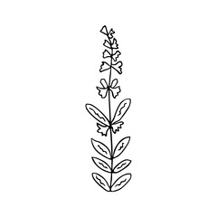 Hand drawn flower and branches doodle. Vector illustration