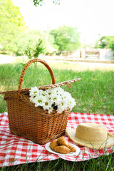 Spending time in nature - picnic, accessories for picnic