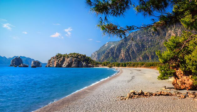 beach with palm trees, Summer mediterranean coastal landscape - view of the Cirali Olympos Beach, wallpaper Summer Beach