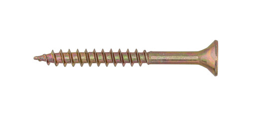 isolated close-up photo of wood screw