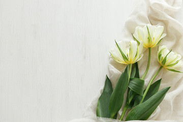 Beautiful white tulips with soft fabric on rustic wooden table flat lay with space for text. Happy Mothers day. Spring bouquet from garden. Womens day