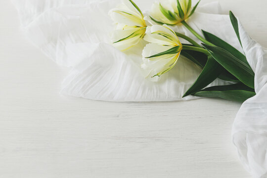 Beautiful white tulips with soft fabric on rustic wooden table with space for text. Happy Mothers day. Spring bouquet from garden. Womens day
