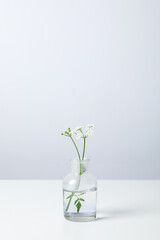 Glass bottle with flowers on white table