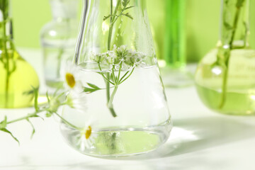 Concept of biology and chemistry research with flowers