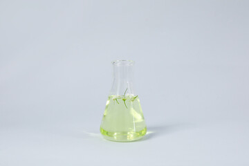 Concept of biology and chemistry research with flowers