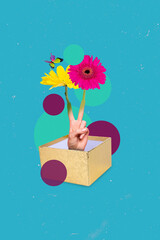 Picture 3d collage artwork image of human arm inside birthday box demonstrate v-sign hello surprise isolated painting background
