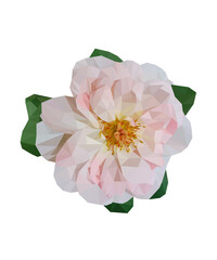 low poly polygon rose pink flower romance on a isolated  white background
