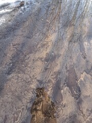 traces on snow spring landscape photo image 