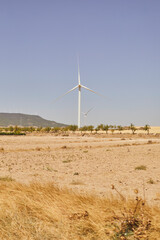 Wind power becomes the leading energy source in Spain