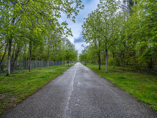 rainy day in the park 