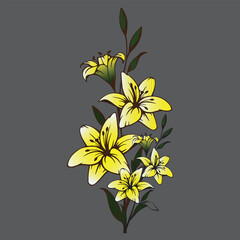 A yellow flowers on a grey background