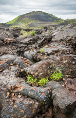 Sparse Landscape of Craters of the Moon National Monument and Preserve in Idaho