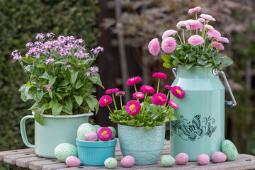 Garten-Arrangement mit pink Bellis und Vergissmeinnicht in vintage Gefässen