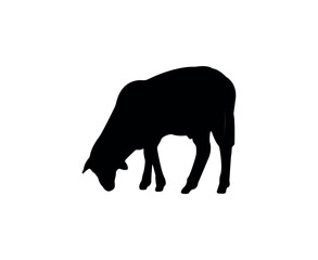 Vector flat sheep silhouette isolated on white background