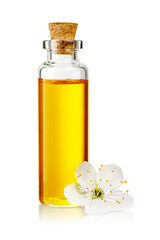 Transparent bottle with flower and yellow essential oil isolated. Transparent PNG image.