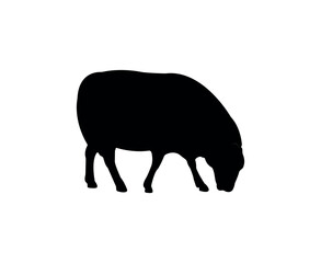 Vector flat sheep silhouette isolated on white background