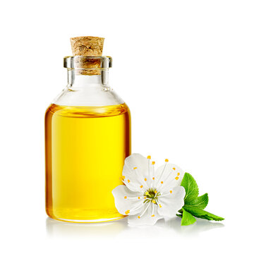 Transparent bottle with flower and yellow essential oil isolated. Transparent PNG image.