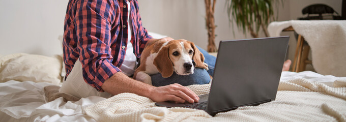 A man and his beagle conquering work tasks together. Focused and furry concept. Boosting...