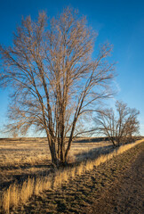 The Minidoka National Historic Site, Idaho