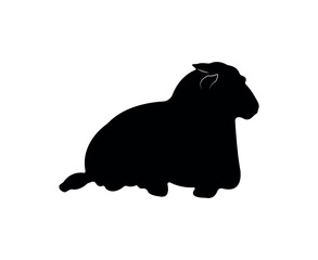Vector flat sheep silhouette isolated on white background