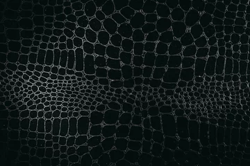 Photo sur Plexiglas Ancien avion Arrière plan matière cuir animal texturé noir et blanc