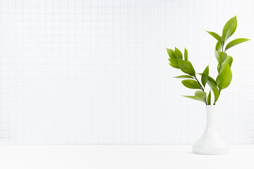Gentle home decor with bright fresh green branch in white ceramic vase in summer sunlight on white wood table with tiny white tile wall. Elegant workplace, bathroom or kitchen interior, copy space.