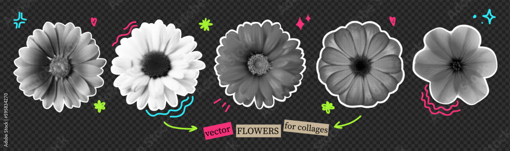 Wall mural a pack of flowers cut as if from a magazine. isolated plants. vector halftone elements for collage w