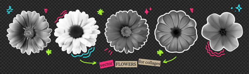 A pack of flowers cut as if from a magazine. Isolated plants. Vector halftone elements for collage with bright colors emoji. Nature-themed stickers.