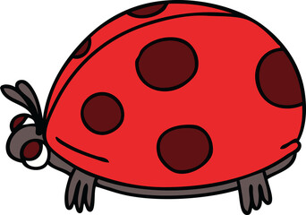 hand drawn quirky cartoon ladybird