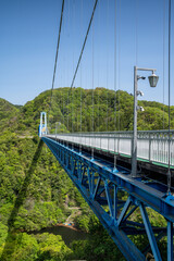 Obraz premium 茨城県常陸太田市 新緑の竜神大吊り橋