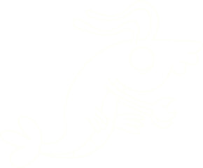 Shrimp Chalk Drawing