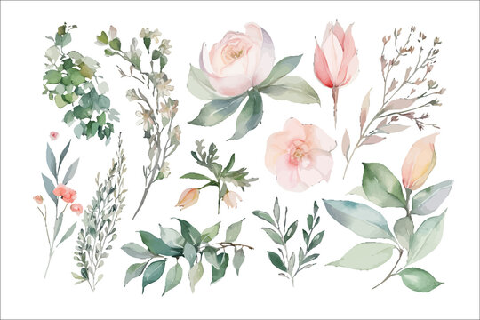 Watercolor floral illustration set. Decorative flower elements template. . Generative AI